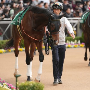 2023/12/16 ターコイズS(G3)