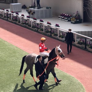 2022/2/27 3歳未勝利