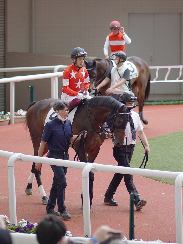 2021/6/27 2歳新馬 レッドベルアーム