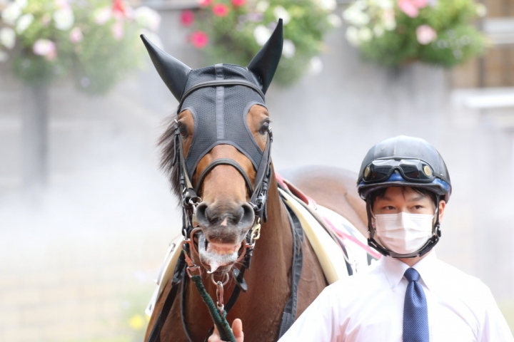 2021/6/6 2歳新馬 レッドバロッサ