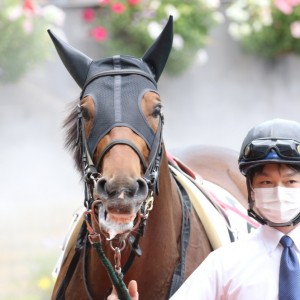 2021/6/6 2歳新馬