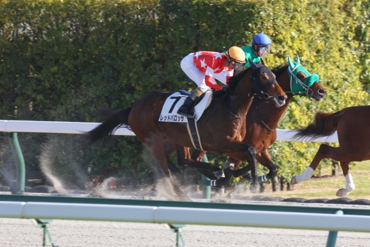 2022年12月 レッドバロッサ