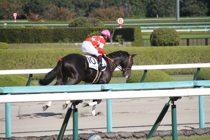 返し馬 レッドデクスター