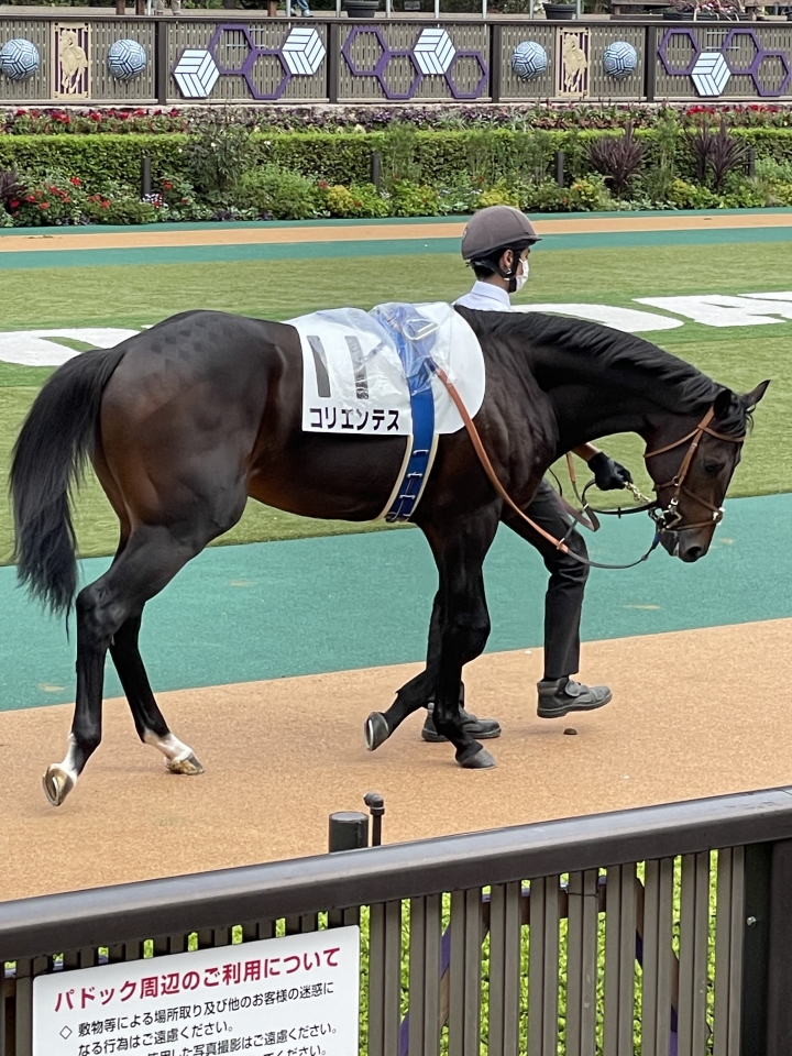 2021/10/10 2歳未勝利 コリエンテス