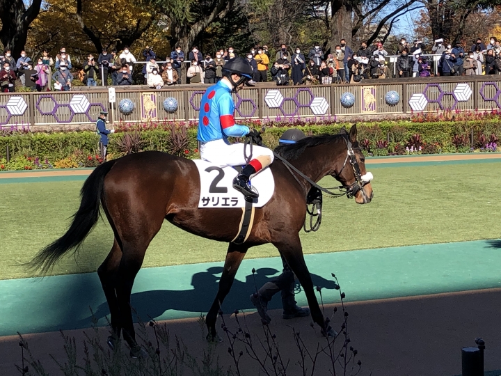 2021/11/28 2歳新馬 サリエラ