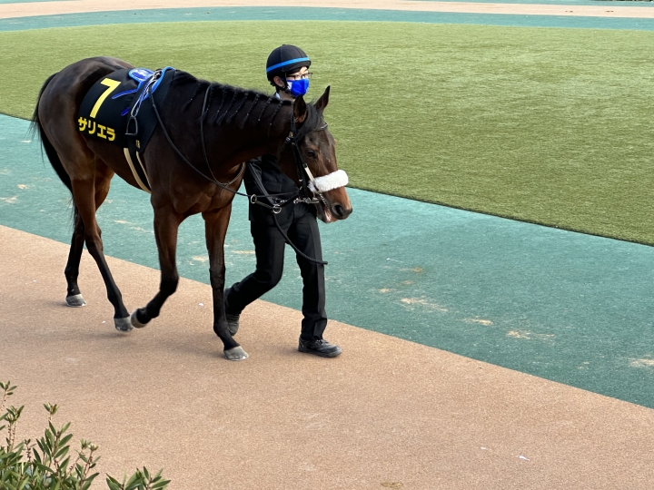 2023/1/28 白富士S(OP) サリエラ