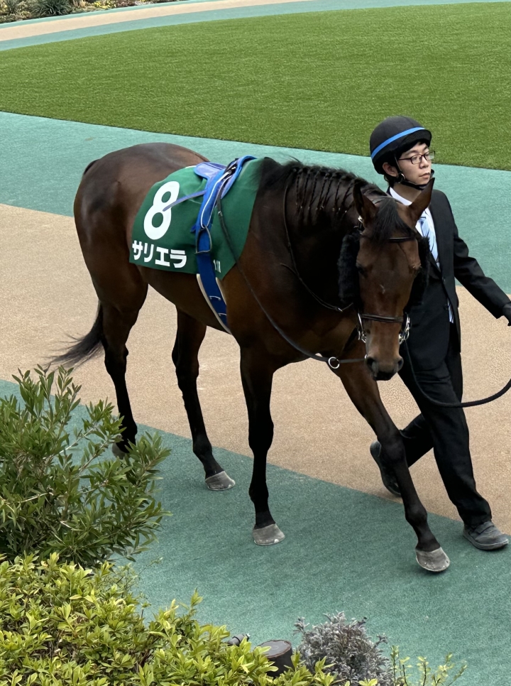 2024年2月 サリエラ