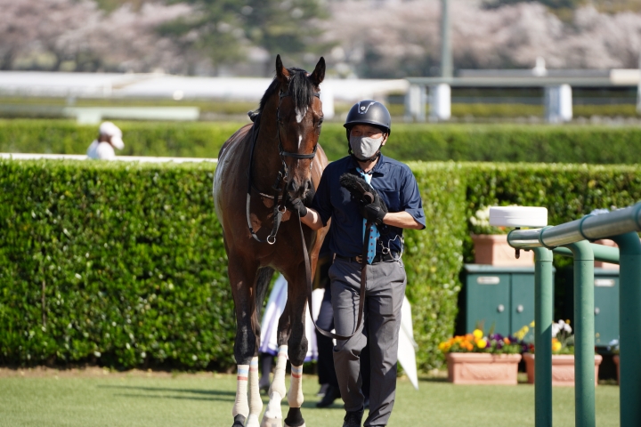 2023/4/1 4歳以上1勝クラス ケリーズノベル