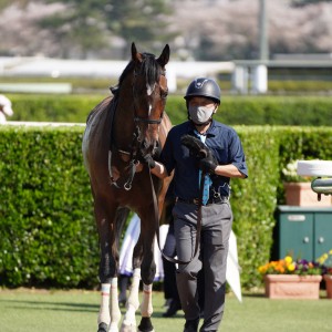 2023/4/1 4歳以上1勝クラス
