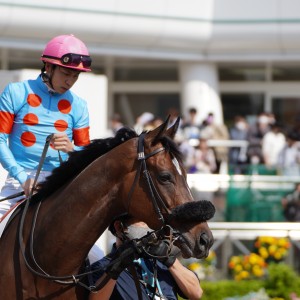2023/4/1 4歳以上1勝クラス