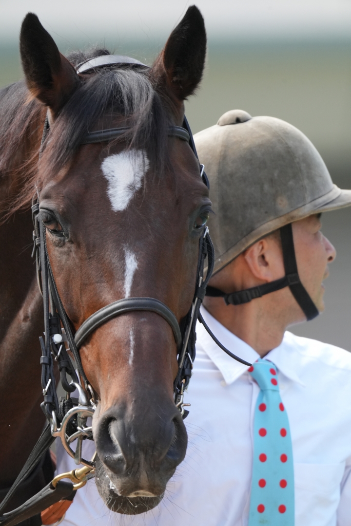 2023/10/14 3歳以上2勝クラス ケリーズノベル