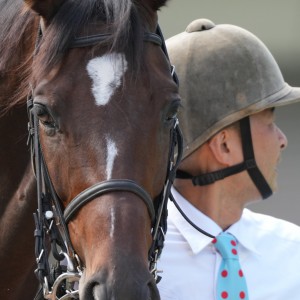 2023/10/14 3歳以上2勝クラス