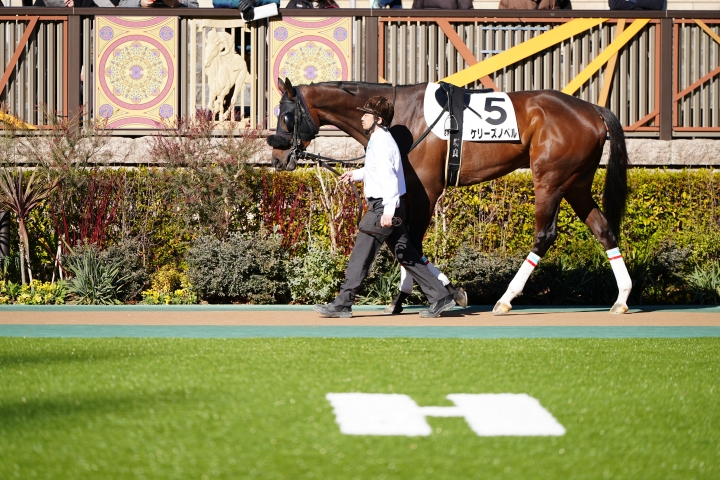 2024/1/27 4歳以上2勝クラス ケリーズノベル