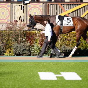 2024/1/27 4歳以上2勝クラス
