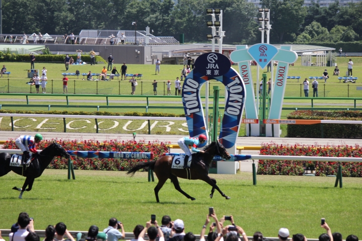 初勝利 カーペンタリア