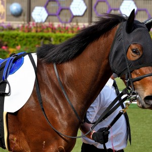 2021/11/7 2歳新馬