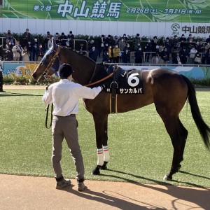 2022/2/27 デイジー賞(1勝クラス)