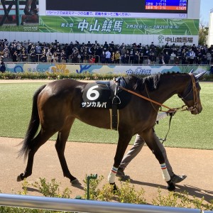 2022/2/27 デイジー賞(1勝クラス)