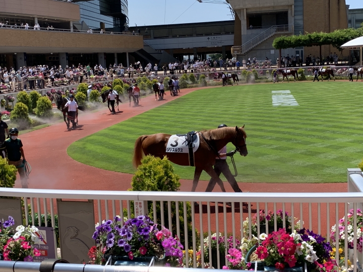 2021/7/31 2歳新馬 ソリスルクス