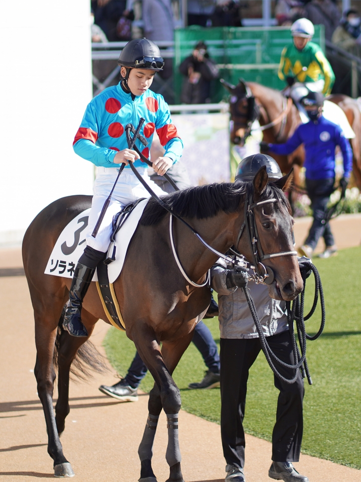 2022/1/8 3歳未勝利 ソラネル