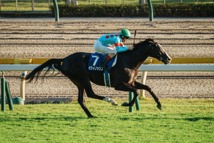 2023/10/29 天皇賞秋(G1) イクイノックス