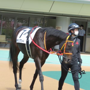 2022/6/12 3歳未勝利(牝)