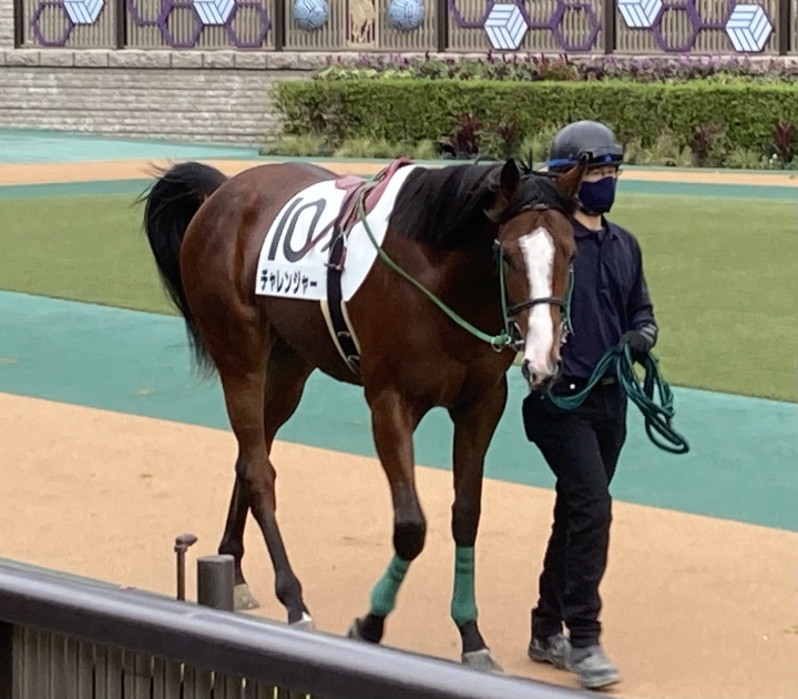 2021/10/31 2歳未勝利 チャレンジャー