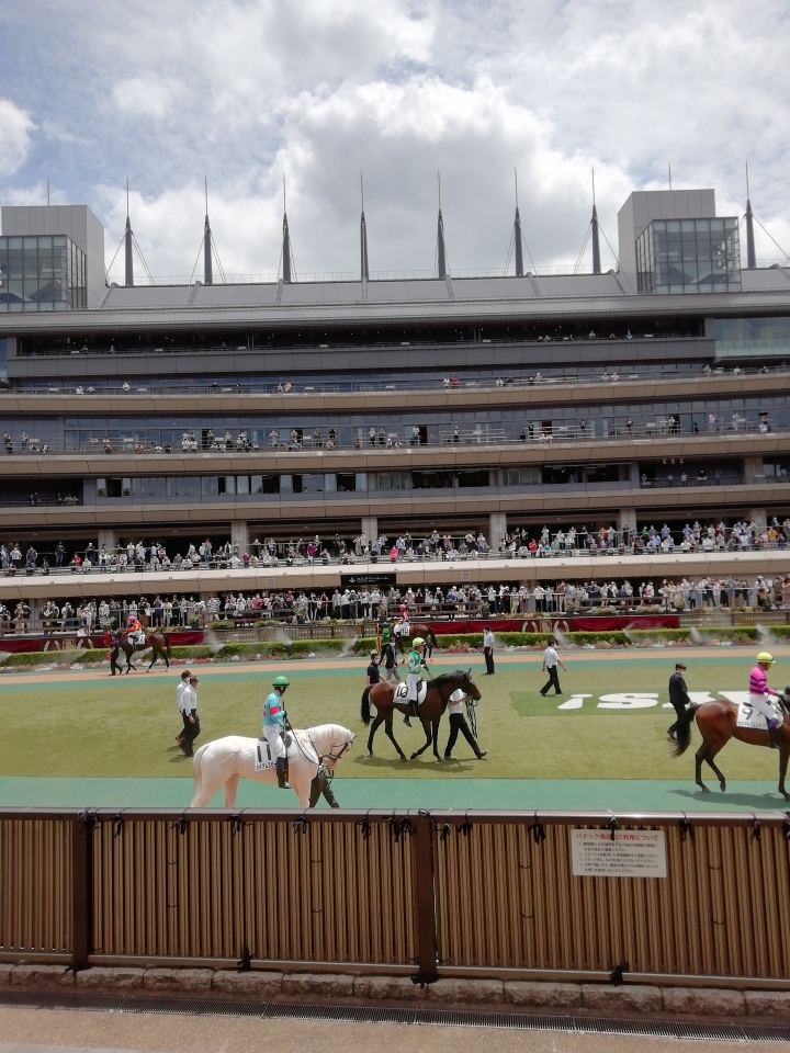 2021.6.12.東京5R メイクデビュー東京 ハイアムズビーチ