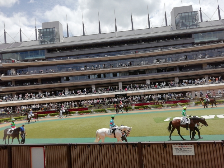 2021.6.12.東京5R メイクデビュー東京 No.2 ハイアムズビーチ