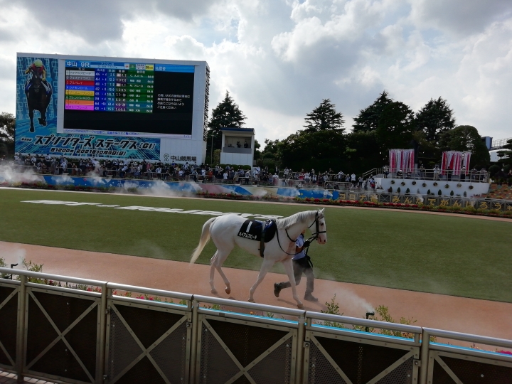 2021.9.11.中山9R アスター賞 No.3 ハイアムズビーチ