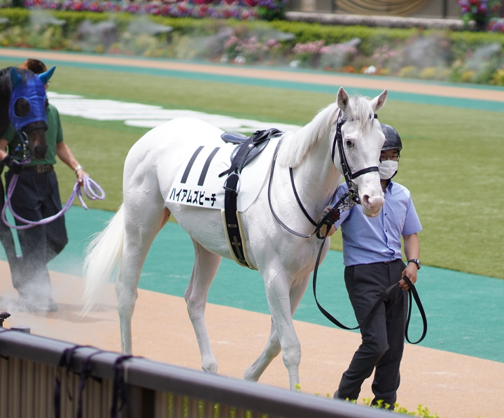 2021/6/12 2歳新馬 ハイアムズビーチ