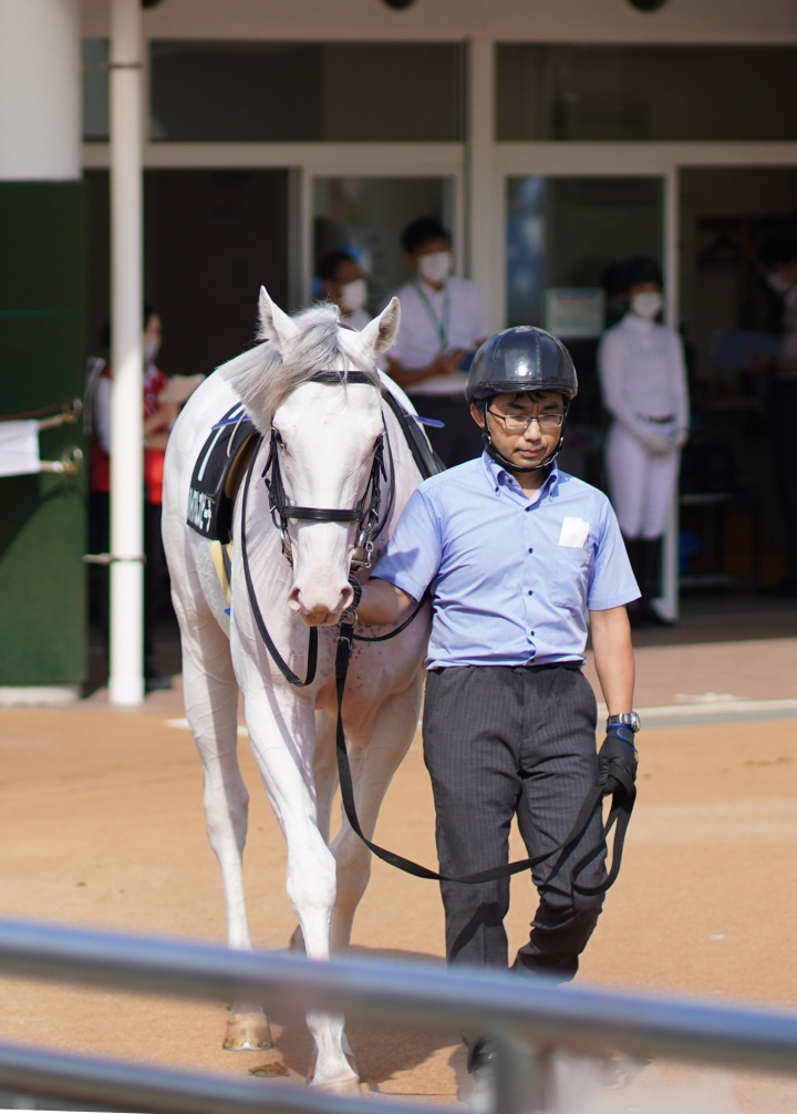 2021/9/11 アスター賞(1勝クラス) ハイアムズビーチ