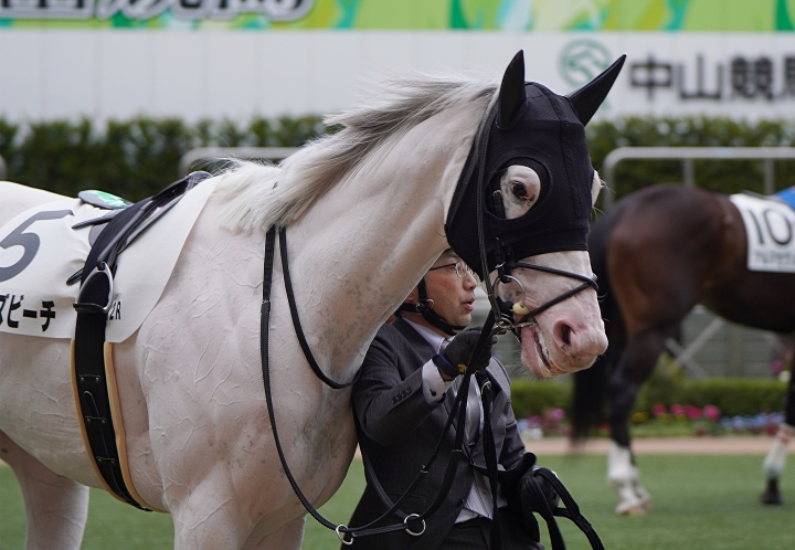 2023/2/25 4歳以上2勝クラス(牝) ハイアムズビーチ