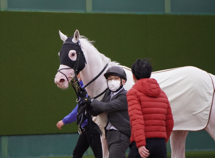2023/2/25 4歳以上2勝クラス(牝) ハイアムズビーチ