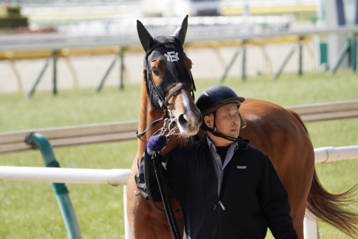2023/2/5 4歳以上1勝クラス(牝) スノーグレース