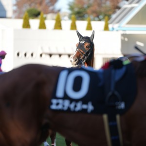 2024/12/1 市川S(3勝クラス)