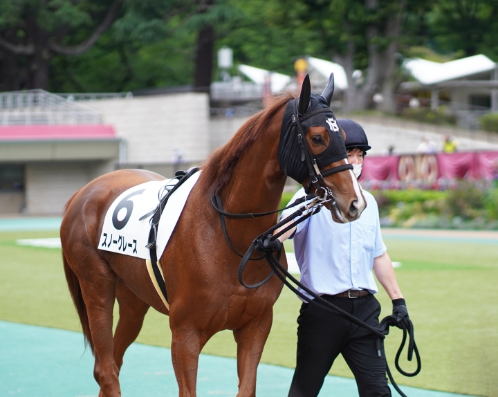 2022/6/11 3歳以上1勝クラス(牝) スノーグレース