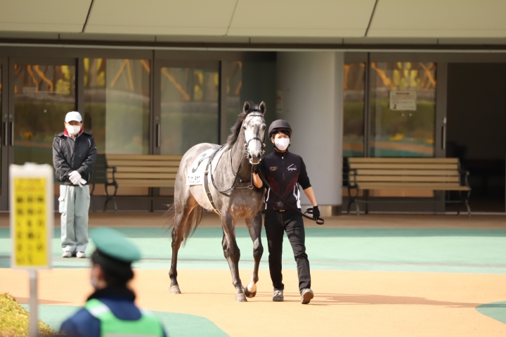 2022年1月 アルゲンテウス