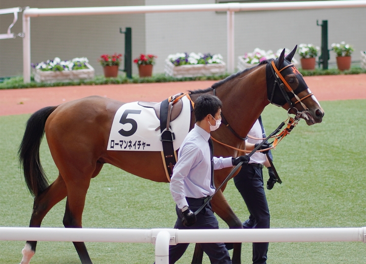 2021/6/27 2歳新馬 ローマンネイチャー
