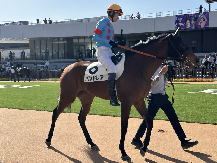 2023/4/22 4歳以上2勝クラス パンドレア