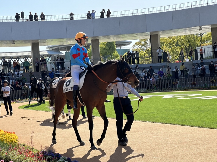 2023/4/22 4歳以上2勝クラス パンドレア