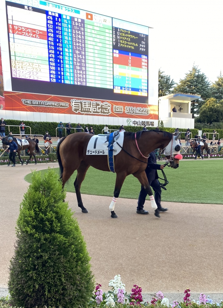 2024年12月 デュードメール