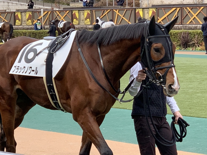 2022/2/5 3歳新馬 ブラックノワール