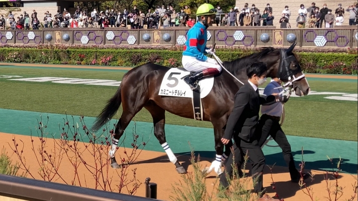 パドックにて カミニートデルレイ