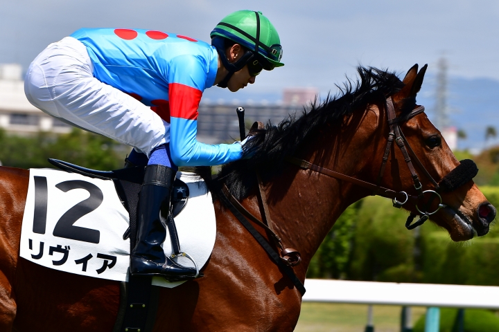 2022/4/16 3歳未勝利(牝) リヴィア