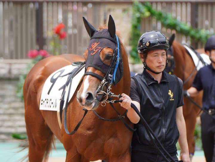 2023/5/28 4歳以上1勝クラス キャプテンローレル