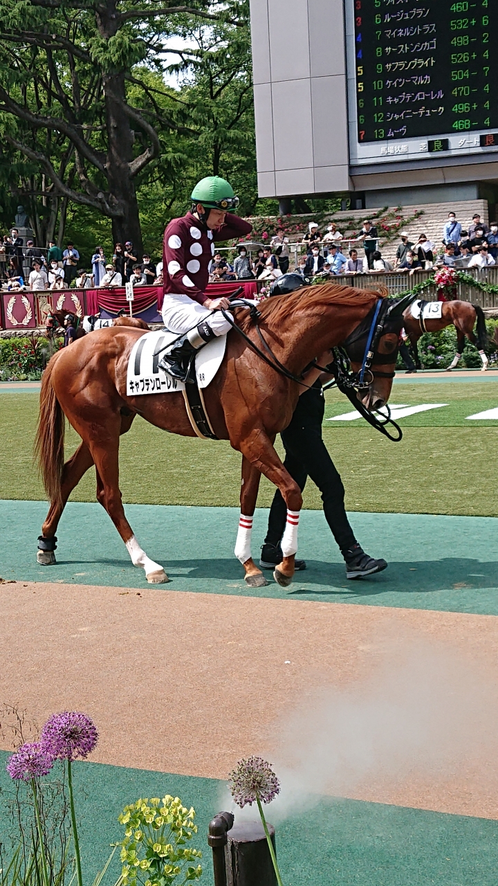 2023/5/6 4歳以上1勝クラス キャプテンローレル