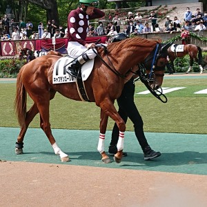 2023/5/6 4歳以上1勝クラス