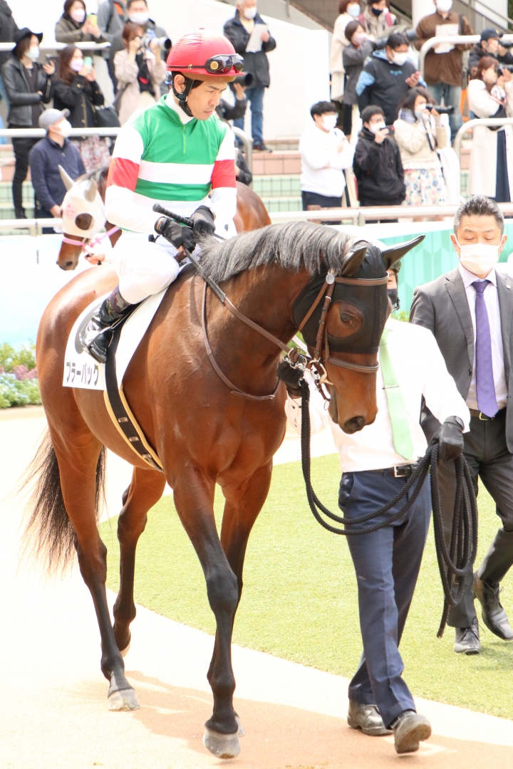 2022年4月 ブラーバック