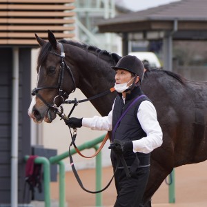 2023/1/15 4歳以上1勝クラス